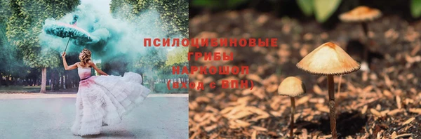 шишки Арсеньев