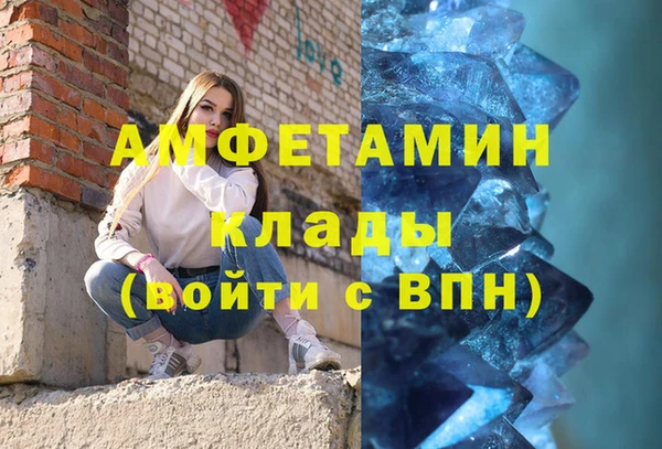 шишки Арсеньев