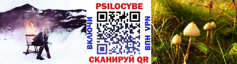 Галлюциногенные грибы мицелий  Тамбов 