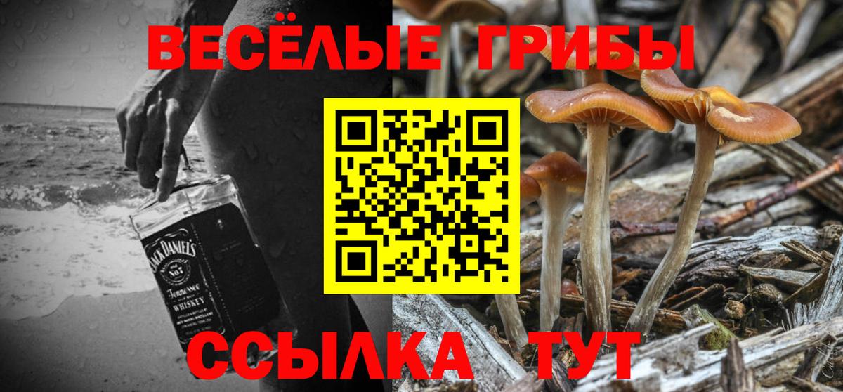 Тамбов  Галлюциногенные грибы прущие грибы  Вход с VPN 